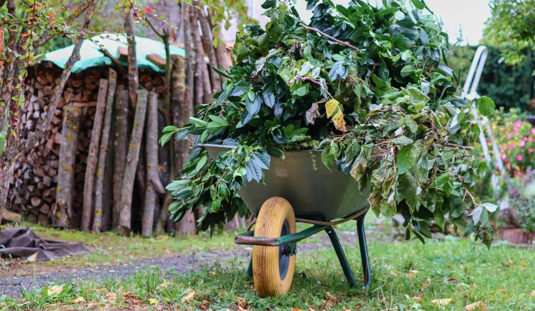 abgeschnittene Zweige und Äste in einer grünen Schiebetruhe in einem Garten, im Hintergrund ein Holzstoß